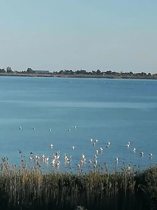 Pop In! Sunny 2Bdr Apt Cagliari Near The Beach 0*,